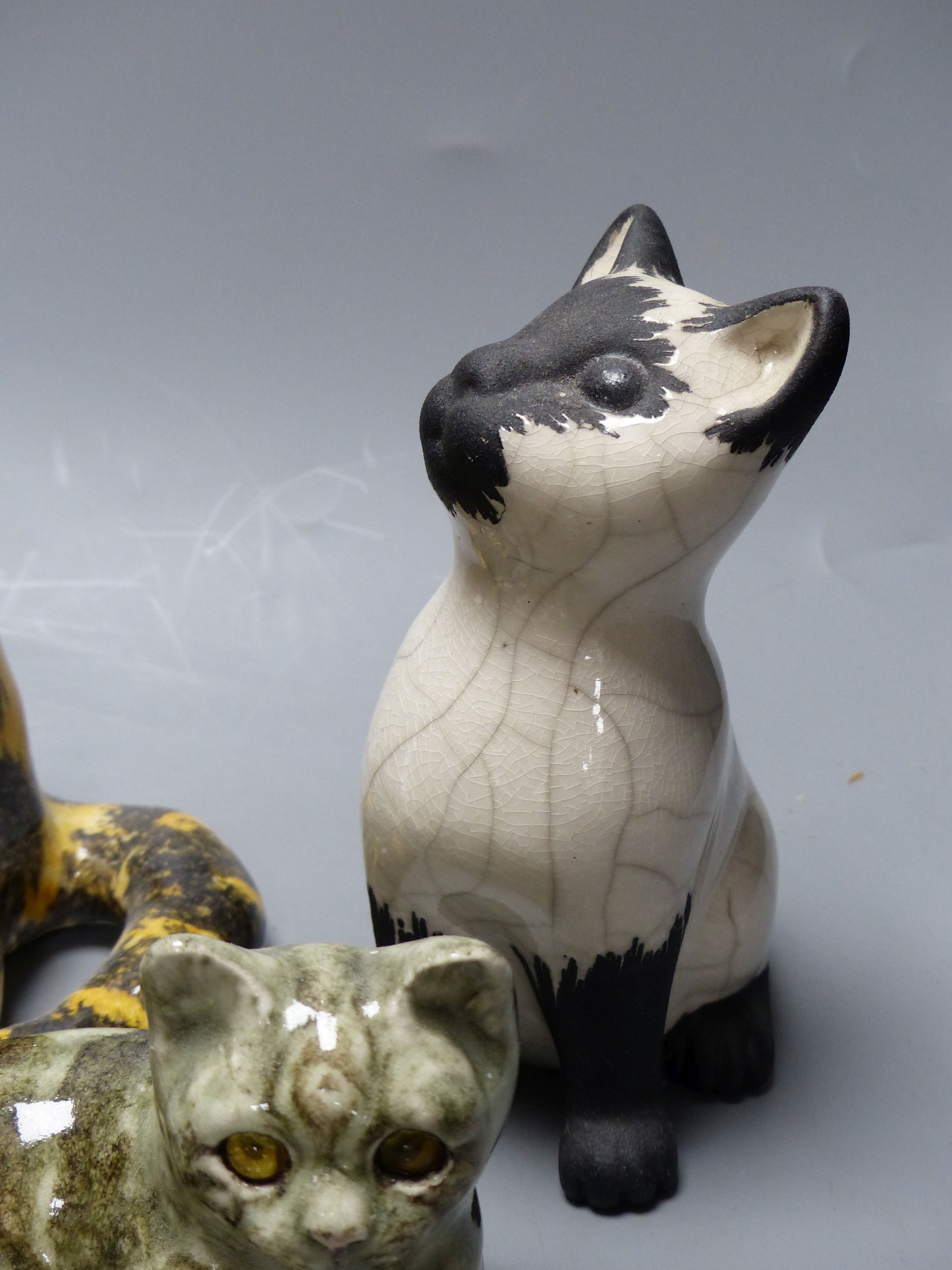 Two Winstanley ceramic cats, three others and a dog, tallest 23cm